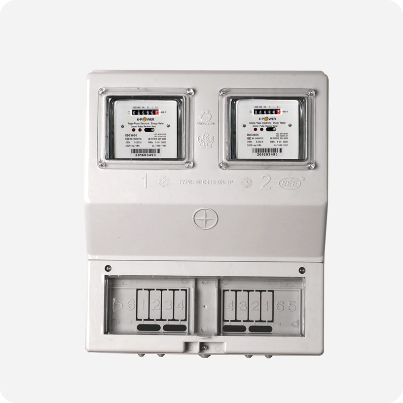 Box of 2 single-phase meters